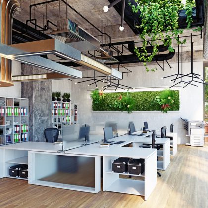 Biophilic office design